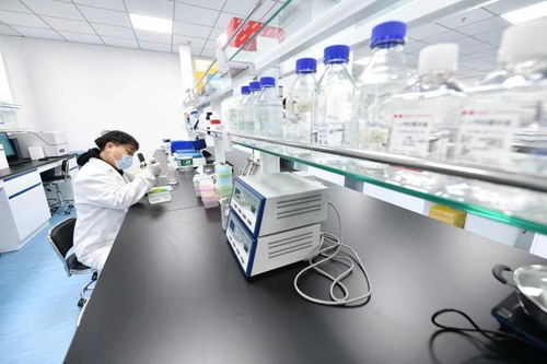 北京亦莊生物醫藥園企業全力以“復”，技術開發驅動產業新活力